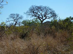 Meet your Posher, Allie